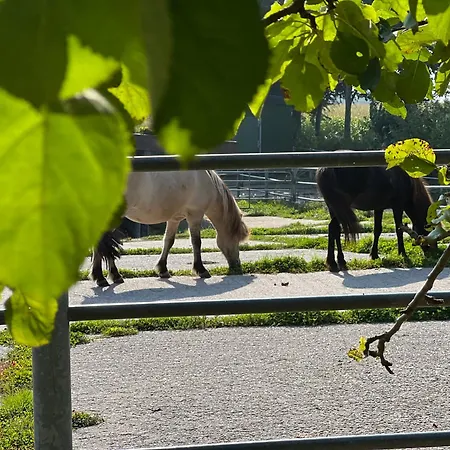 Διαμέρισμα Vidja Osterby (Rendsburg-Eckernforde)
