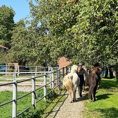 Vidja Osterby (Rendsburg-Eckernforde)