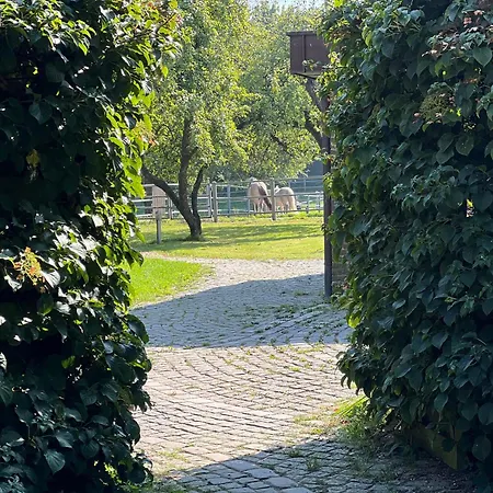 Vidja Διαμέρισμα Osterby (Rendsburg-Eckernforde)