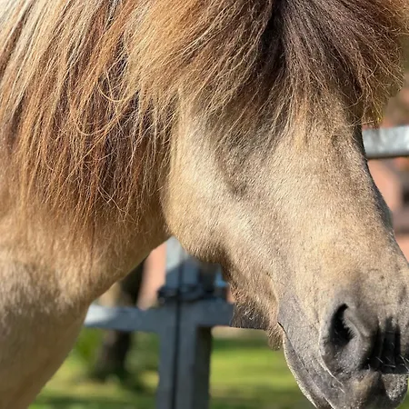 Vidja Osterby (Rendsburg-Eckernforde)