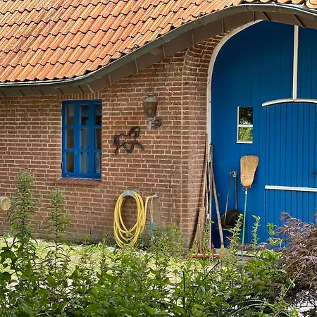 Vidja * Osterby (Rendsburg-Eckernforde)