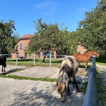 Vidja Διαμέρισμα Osterby (Rendsburg-Eckernforde)